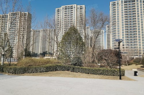 中新國際城綜合評測 優點、不足、周邊中介及物業管理分析